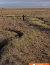 [2010][英国][纪录片][BBC自然世界：艾塞克斯的自然风光/周游世界风光][蓝光原盘][1080P-21.99...