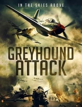 灰狗攻击 Greyhound.Attack.2019.1080p.BluRay.x264.DTS-FGT 7.28GB