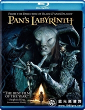 潘神的迷宫 Pans.Labyrinth.2006.CC.Bluray.1080p.DTS-HD-7.1.x264-Grym 20.9GB