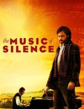 寂静之乐 The.Music.of.Silence.2017.1080p.BluRay.REMUX.AVC.DTS-HD.MA.5.1-FGT 28.95GB