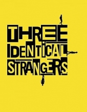 孪生陌生人 Three.Identical.Strangers.2018.1080p.BluRay.REMUX.AVC.DTS-HD.MA.5.1-FGT 16