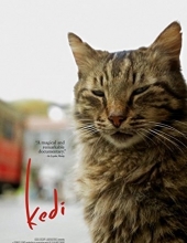 伊斯坦布尔的猫/爱猫之城 Kedi.2016.1080p.BluRay.x264-NODLABS 6.57GB