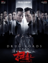 扫毒2:天地对决 The.White.Storm.2.Drug.Lords.2019.CHINESE.1080p.BluRay.REMUX.AVC.DTS-HD