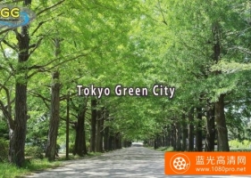 东京绿色城市[2160P/MP4/340M] 【百度云】