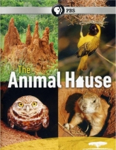 自然世界:动物之家/动物建筑师 Nature.The.Animal.House.2011.1080p.BluRay.x264-SADPANDA 3.28GB