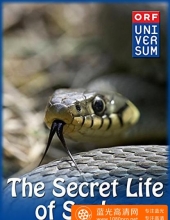 蛇的秘密生活 The.Secret.Life.Of.Snakes.2016.2160p.WEB.x264-PFa 6.74GB
