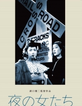 夜之女/夜间女人 Women.of.the.Night.1948.JAPANESE.ENSUBBED.1080p.AMZN.WEBRip.AAC2.0.x264