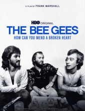 比吉斯:如何修复受伤心灵 The.Bee.Gees.How.Can.You.Mend.a.Broken.Heart.2020.1080p.BluRay.REMU