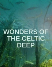 Wonders.of.the.Celtic.Deep.S01.2160p.WEB-DL.x265.10bit.HDR.HLG.AAC2.0-4k纪录片下载-30