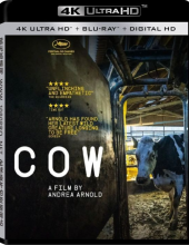 牛/奶牛4k.Cow.2021.2160p.WEB-DL.x265.10bit.SDR.DDP5.1纪录片电影下载-8.51 GB