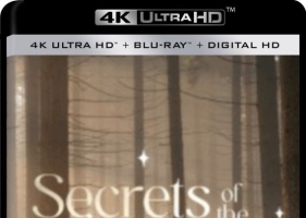 仙境森林的秘密.Secrets.of.the.Enchanted.Forests.S01.2023.2160p.UHDTV.H265.AAC-4k纪录片下载