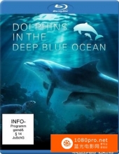 [2009][德国][深蓝色海洋里的海豚][纯音乐风光欣赏片][1080P-4.41G][MKV]AC3
