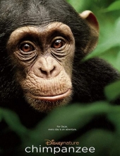 黑猩猩/黑猩猩的世界 Chimpanzee.2012.1080p.BluRay.x264-IGUANA 6.55GB