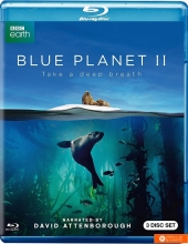 蓝色星球2[央视国语/特效中字] Blue.Planet.S02.2017.BluRay.1080p.DTS.x264-CHD 47.7GB