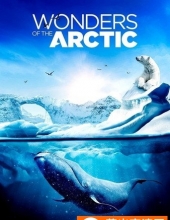 北极奇观/奇幻冰極 Wonders.of.the.Arctic.2014.DOCU.2160p.BluRay.x265.10bit.HDR.TrueHD.7.1